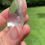 Thumbnail: Himalayan Quartz Palm