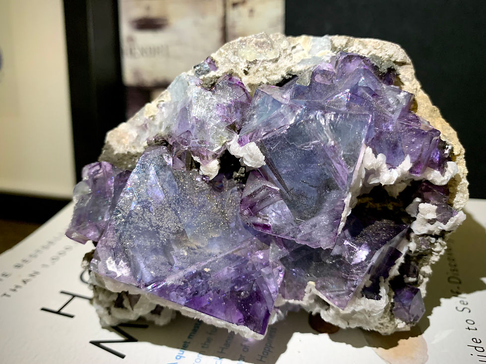Thumbnail: Fluorite and Pyrite on Matrix