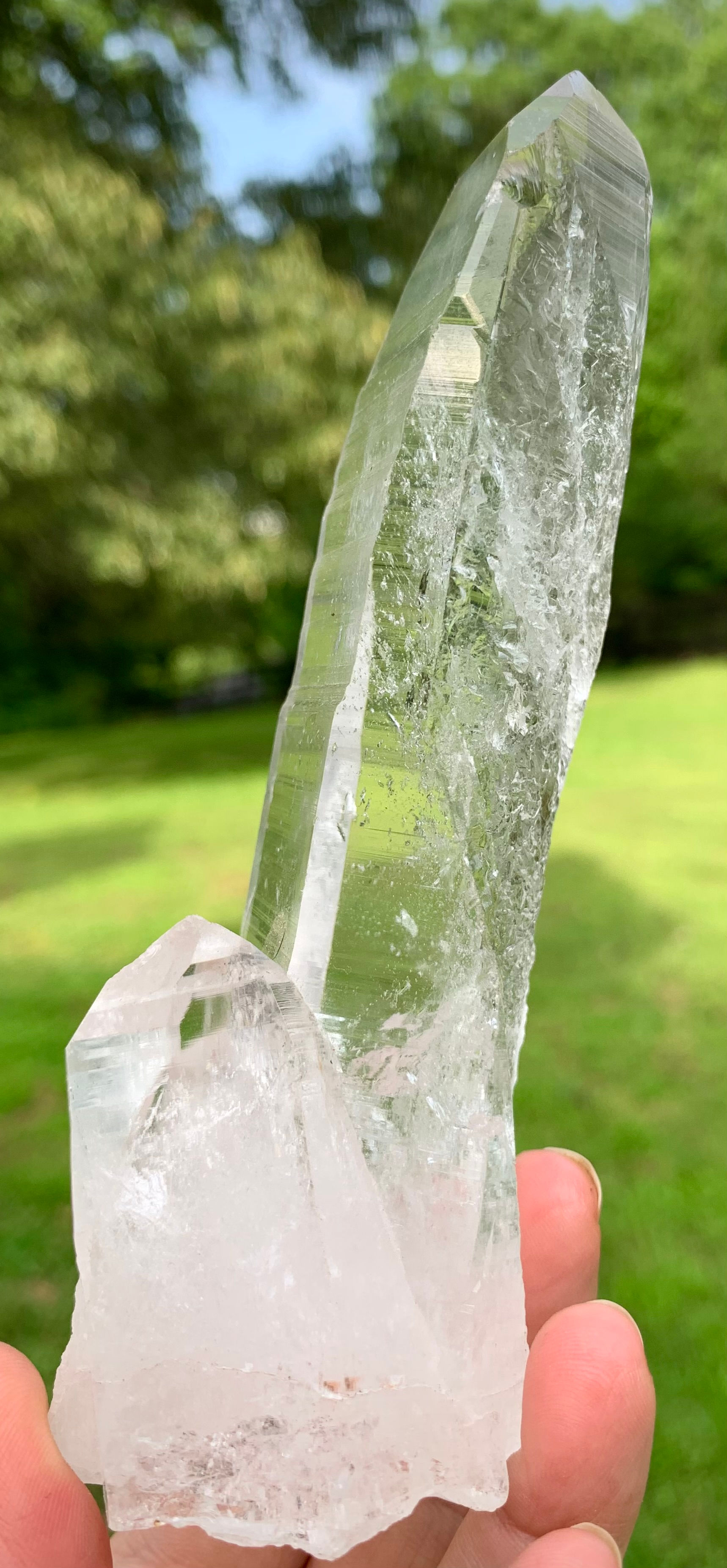 Lemurian Quartz