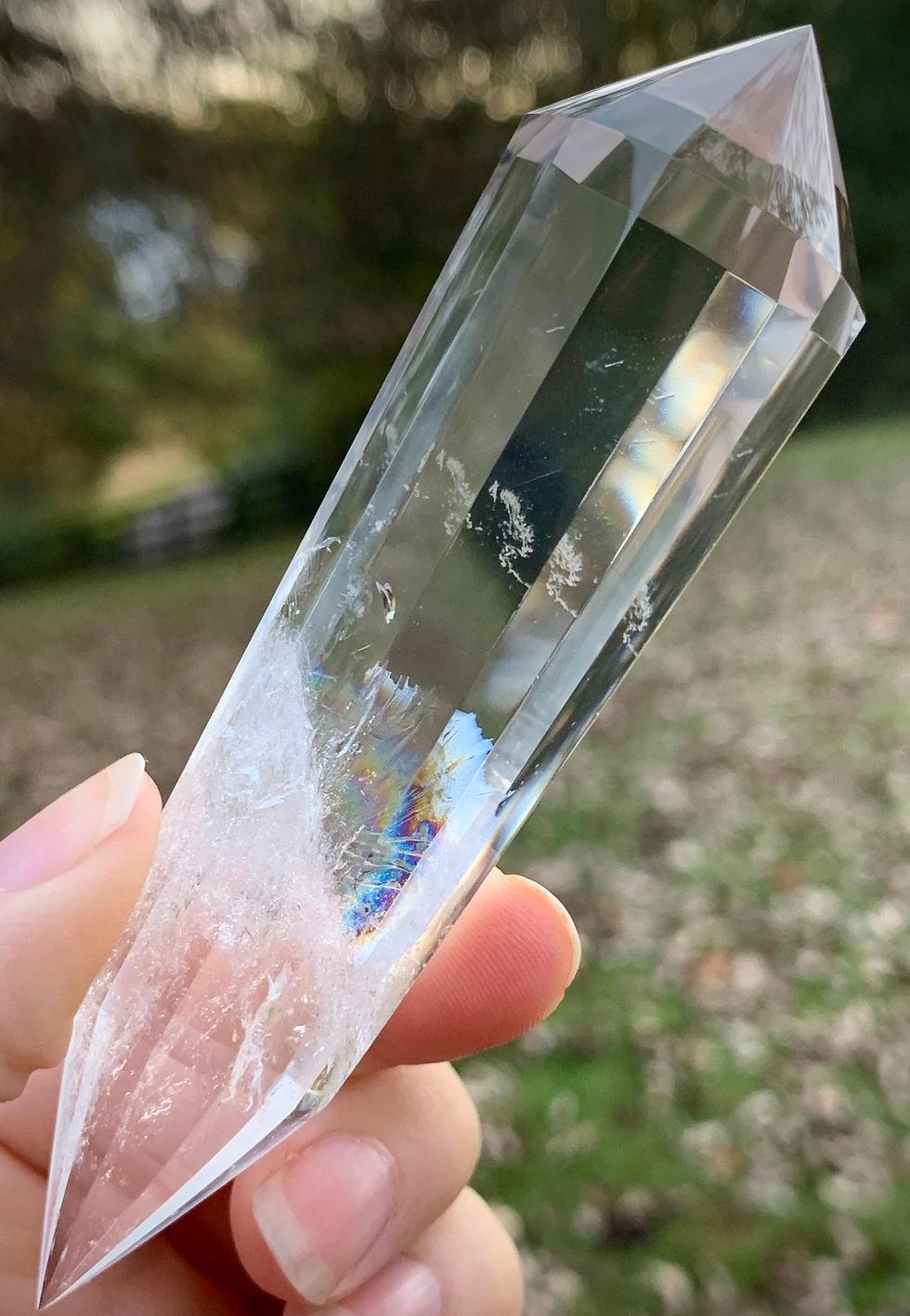Thumbnail: Lemurian Vogel