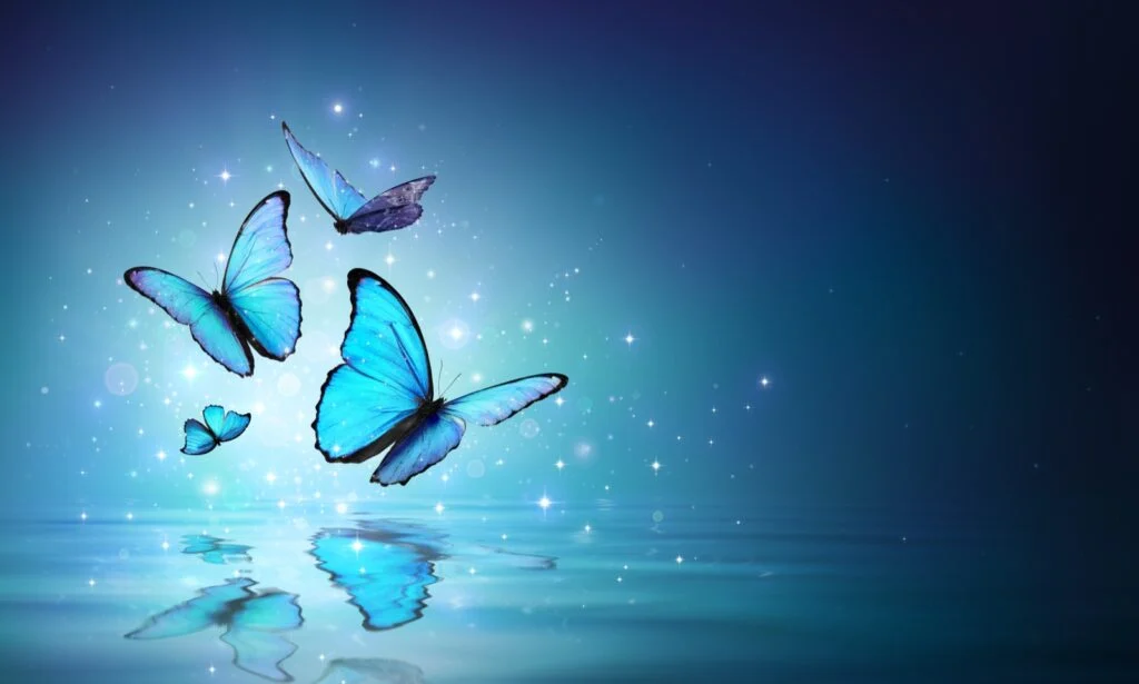 blue-butterflies-water-surface-1024x615.webp