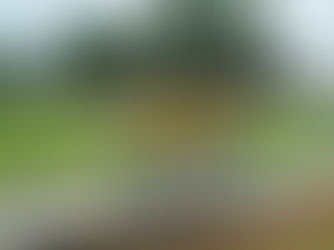 VIDEO Futbalová horúčka vrcholí! Redfox vyzvú v premiére 2. ligy Zlaté Moravce