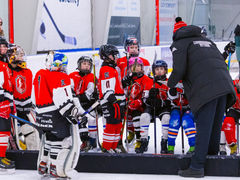 Hokej zrejme dostane mimoriadnych 25-tisíc eur