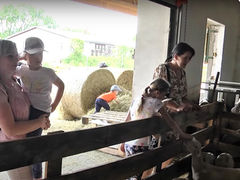 VIDEO Na slovenskej farme v Toporci: Nechýbali čerstvé výrobky i zábava pre deti