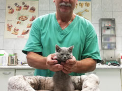 Cestovanie na dovolenku s domácim miláčikom