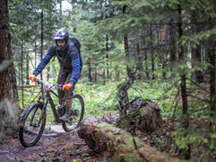 K dohode v mestských lesoch zatiaľ nedošlo. Traily pre cyklistov plánujú rozšíriť o 11 kilometrov