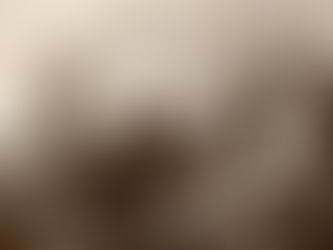 Ako prežívali Vianoce hradní páni? Zo vzácnej korešpondencie Karolíny Zamoyskej