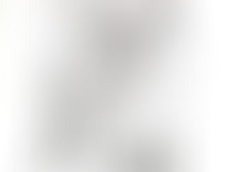 XIV. časť seriálu Žigmundov pisár - dozvuky stredoveku: Stretnutie s princom