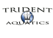 New Trident Logo.png