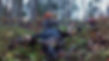 55in 849 K8 2nd moose.jpg