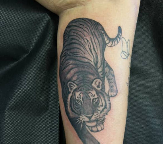 black and grey tattoo,
denver female tattoo artist,
woman tattoo artist,
denver tattoo artist,
Colorado tattoo artist , tiger tattoo