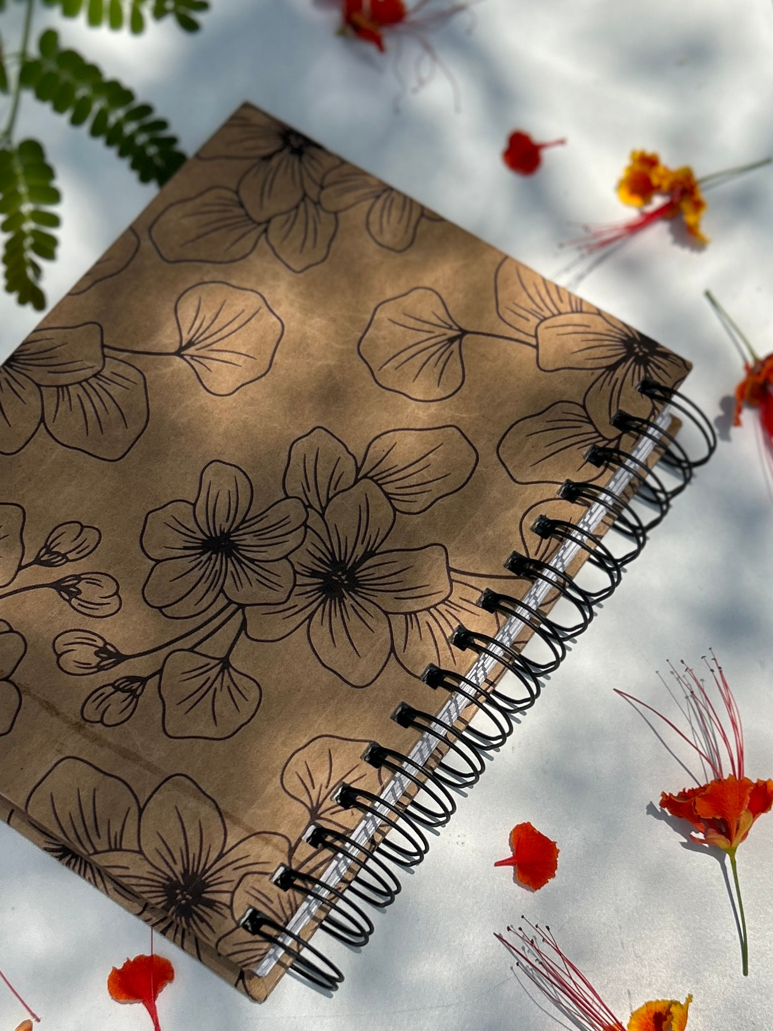 गुलमोहर