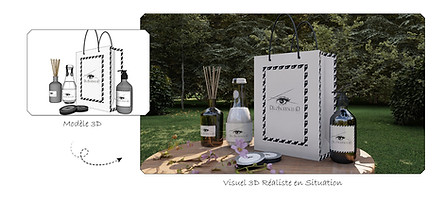 Emilie carlotti, decoincidences 3D, concepteur 3D, modélisations 3D, maquette 3D, plan 3D, plan 2D, cotations, sketchup, lumion,visuels photoréalistes 3D, perspectiviste, modeleur 3D, visite virtuelle, image de synthèse, rendu architectural, visuel architectural, résidentiel, décoration, aménagements intérieurs extérieurs, simulation packaging, reproduction 3D de meuble, insertion paysagère, scène 3D, spectacle, vidéo 3D, montage vidéo, montage photo