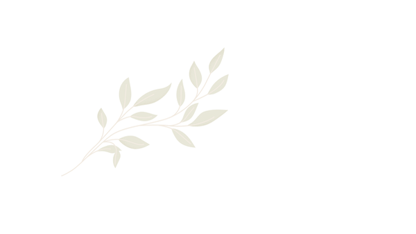 Wisdom Tree Corner Brand Kit .png