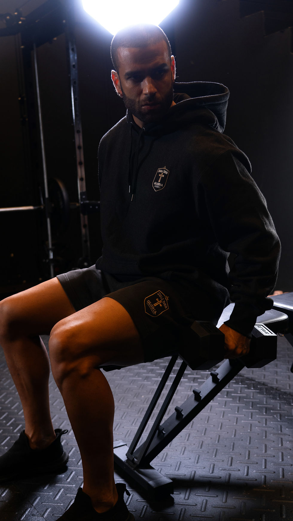 Thumbnail: The Devil Is a Liar Heavyweight Hoodie