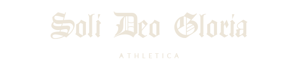 SDGA_Email_Header_ArkhavenStyle_YGoth_Bone_Transparent_600x150.png