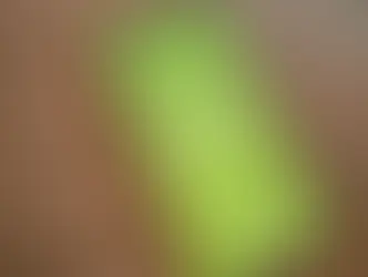 Duolingo