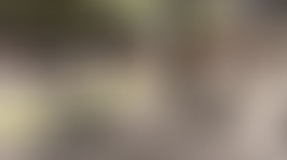 Sportschool Basic-fit