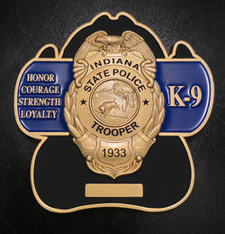 ISP K9 2 back