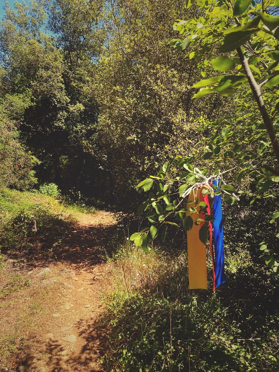 Et si une balise de trail pouvait avoir une seconde vie ?
