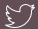 Icone Twitter.png