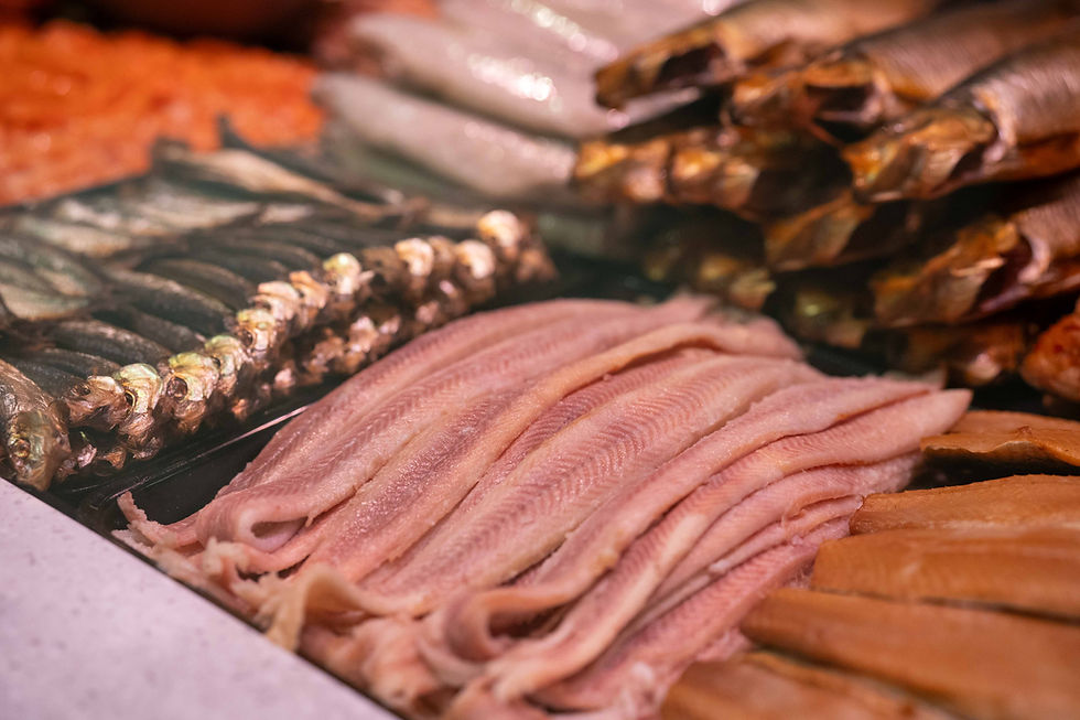 Vishal Den Helder | Verse vis Den Helder 