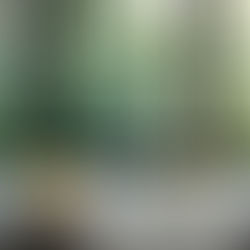 Black framed kitchen windows providing natural light and modern aesthetic