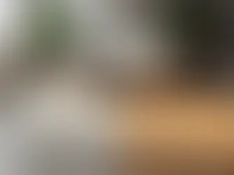 A modern living room showcases a stylish comparison between Light Vinyl Plank (LVP) flooring on the left and warm hardwood flooring on the right, divided by a central sofa and accented by lush green plants.