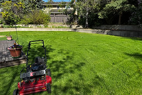 Lucas' Yard Care photo 3