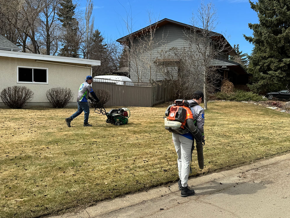 Landscaping crew performing spring yard maintenance on a large commercial property.