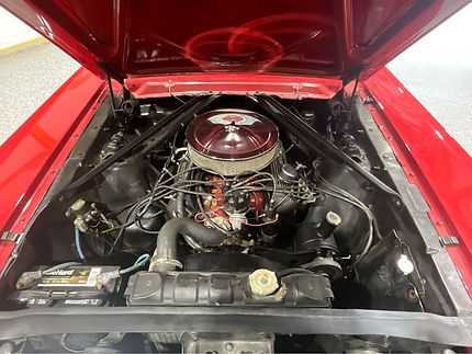 66 MUSTANG5.jpg