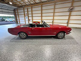 66 MUSTANG.jpg