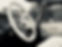 IMG_0780.jpeg