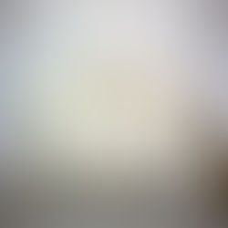 Rococo bed in a neutral-but-fancy finish