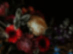 Flower background photo