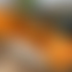 Painted white cabinet with a surprising pop of color