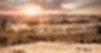 Jerusalem laser 2 (1).jpg