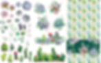 Cacti and Succulents Design Dixie Belle Transfer