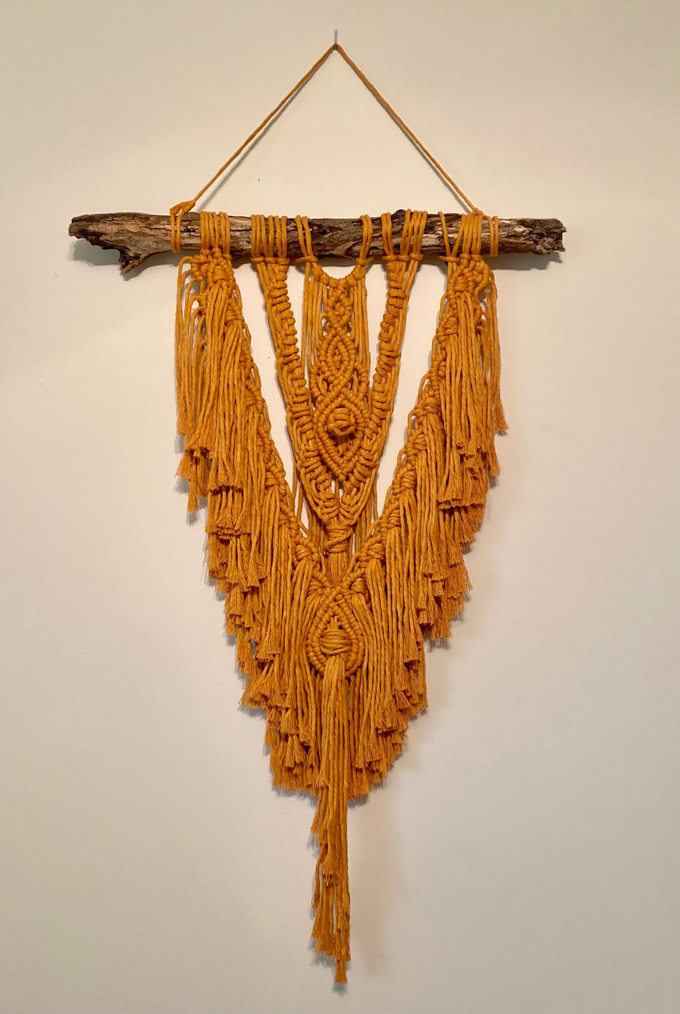 image1 (5).jpeg