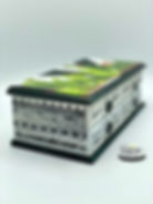 Painted jewelry box with Dixie Belle's Belles and Whistles cacti and succulents design transfer by Tracey's Fancy