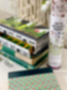 Painted jewelry box with Dixie Belle's Belles and Whistles cacti and succulents design transfer by Tracey's Fancy