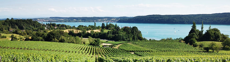 Bodensee, Überlinger See, Bodensee Skipper