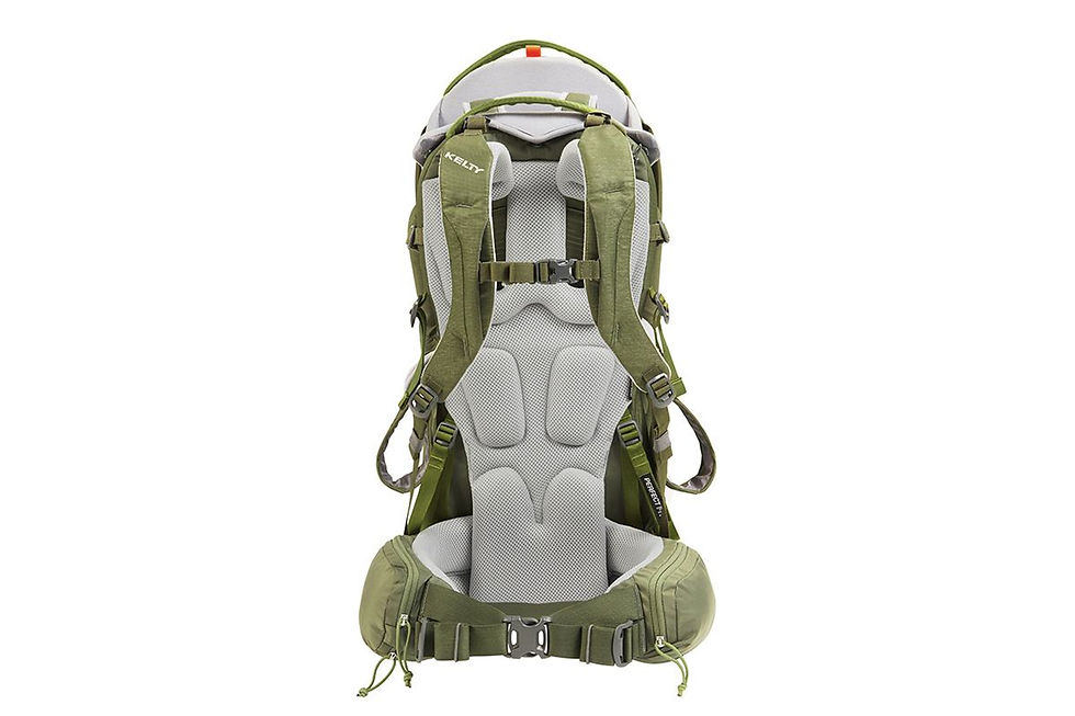Thumbnail: Kelty Journey PerfectFIT Signature Child Carrier (Moss Green)