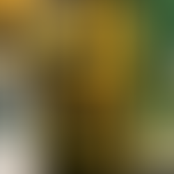 Understanding the Significance of cage Installation on Access Ladders and its Necessity 