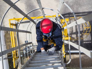 5 Facts You need to Know about Safety