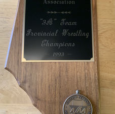 #15 93 ASAA 3A Team Provincial Wrestling Champions Plaque_LI.jpg