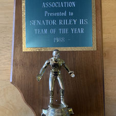 #3 88 AAWA Senator Riley Team of the Year Plaque.jpg