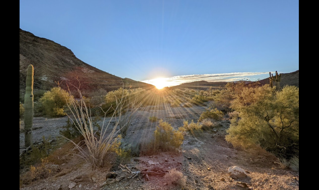 Desert image 1.PNG