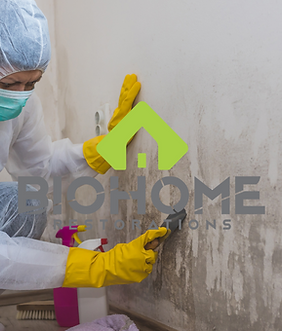 Diseño sin tÃtulo (5).png