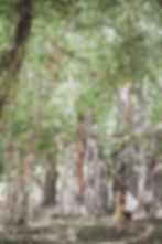 Nishioka family session in Hawaii capturing joyful moments, natural light, and genuine love by blanc Photography.